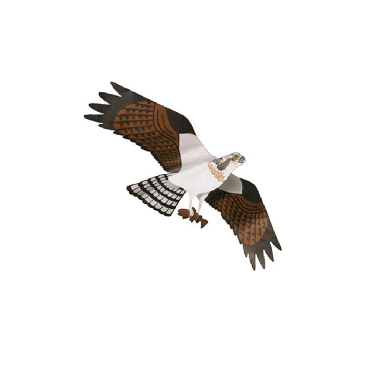 Outdoor Living > Outdoor Decor > Kites Jackite Osprey Kite, 44