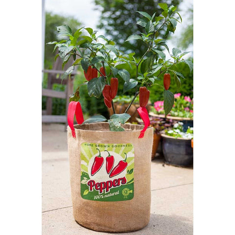 Panacea Peppers Grow Bag, 11" dia.