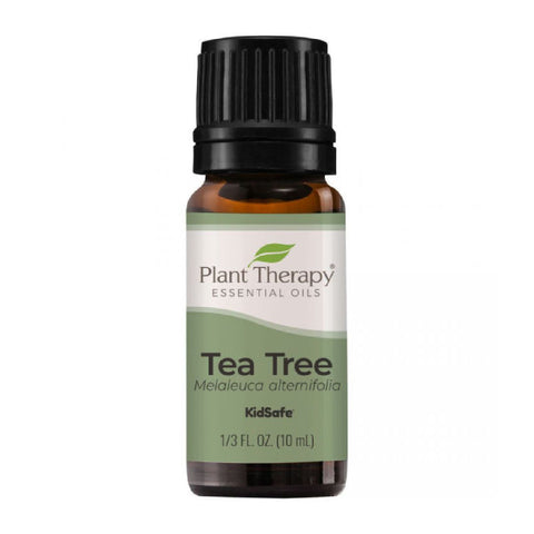 Plant Therapy Tea Tree Essential Oil 10 mL