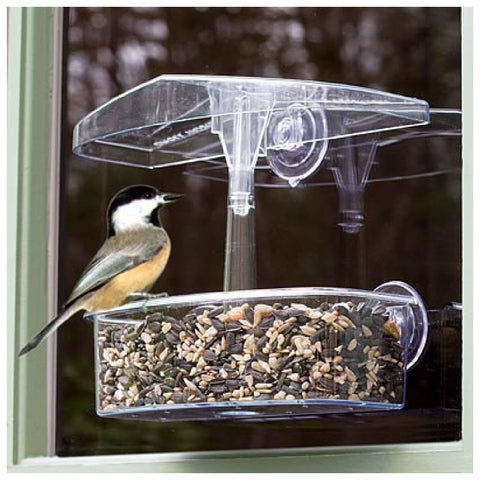 Droll Yankees Observer Window Bird Feeder